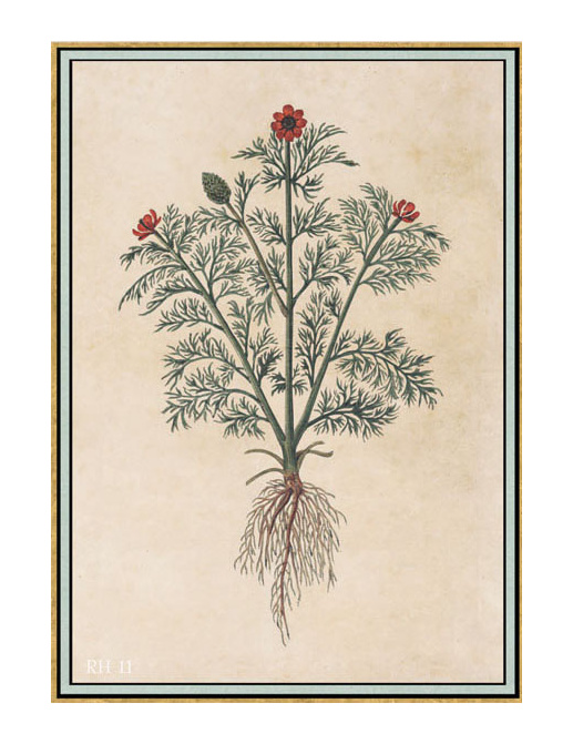 Панно и фотообои Iksel Scenic & Architectural Wallpapers Renaissance Herbier RH11