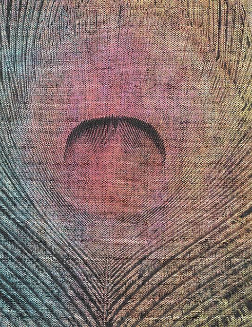 Панно и фотообои Skinwall Contemporary Collection 75