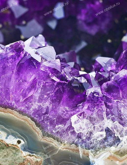 Панно и фотообои A. S. Creation XXL II Violet Amethyst 377