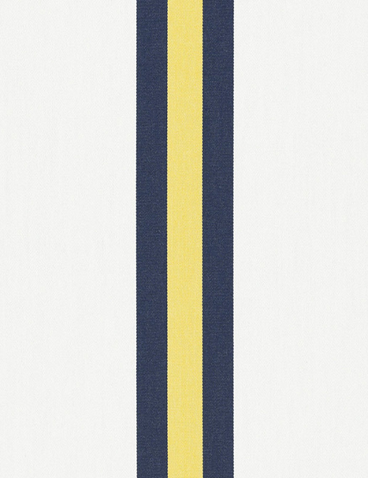 Ткань Ralph Lauren Harbor club outdoor LCF66378F