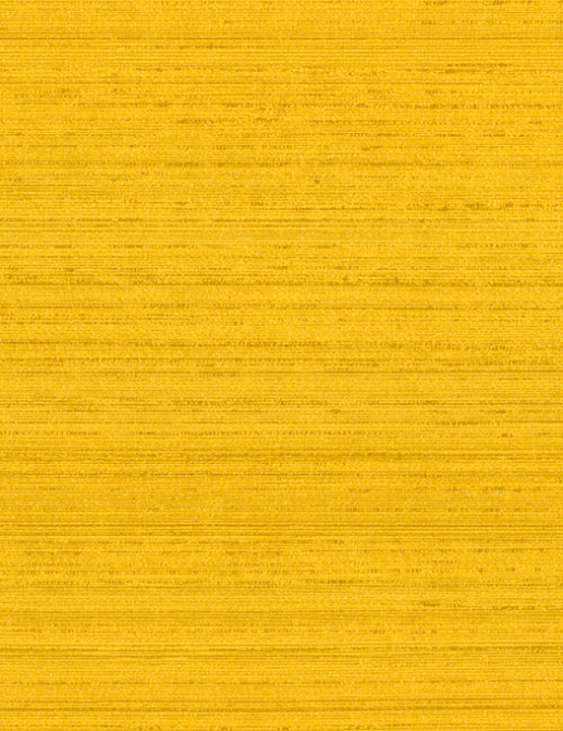 Обои Arte Silkx 67012