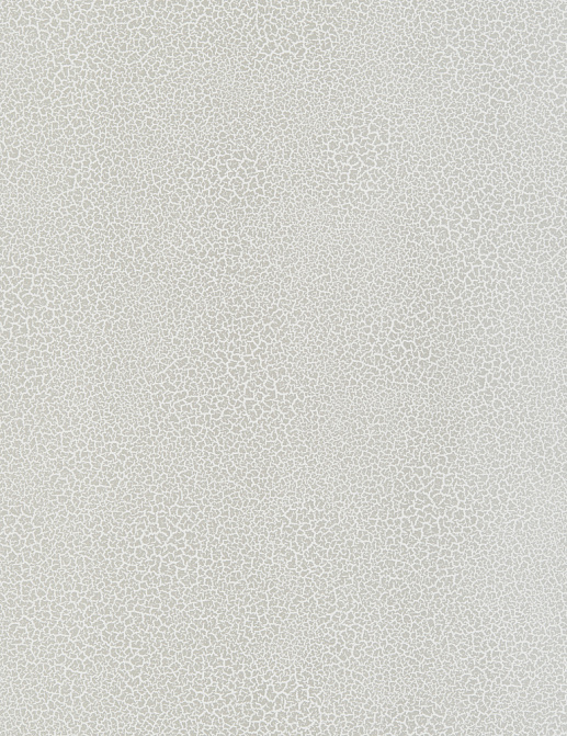 Обои Nobilis Esprit De Matieres EDM22