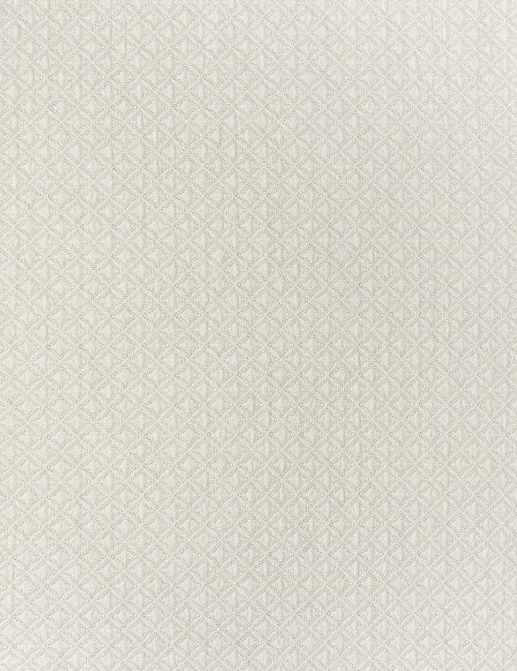 Ткань Thibaut Indoor Outdoor Portico W80026