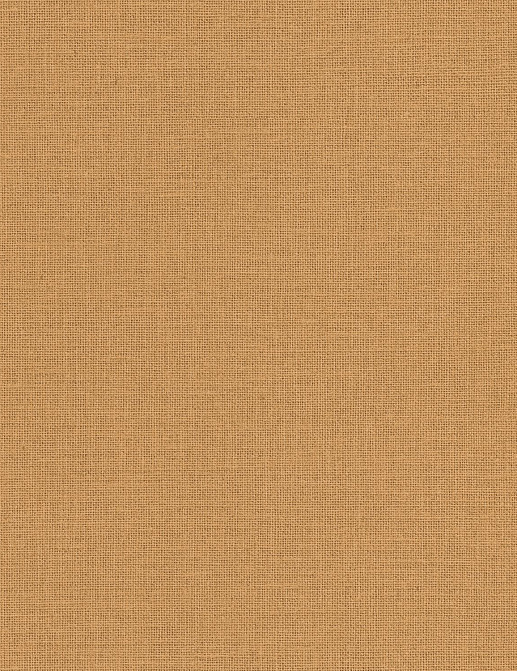 Обои Caselio Jute JTE104012243
