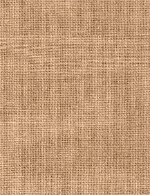 Обои Caselio Jute JTE104011389