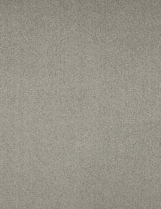 Ткань Creation Baumann Dimmer III DimmerIII/2203