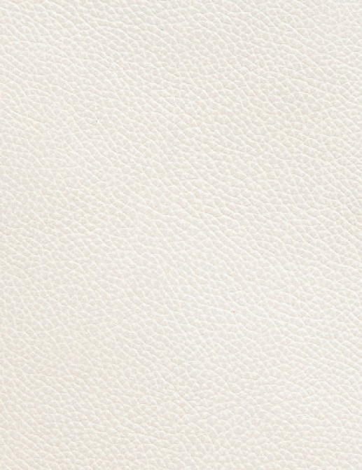 Ткань Holly Hunt Holly Hunt Leather 6013/37
