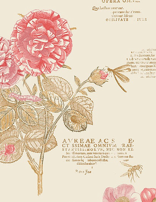 Обои Aura Paradise PA34246
