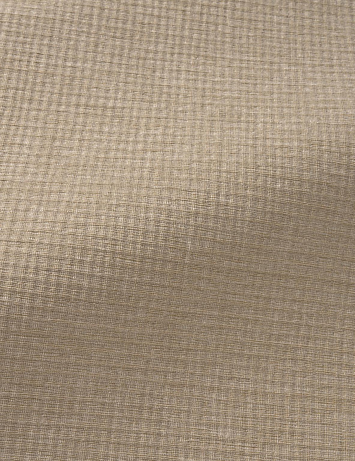 Ткань Pierre Frey Chenille Saint-Germain F3754003