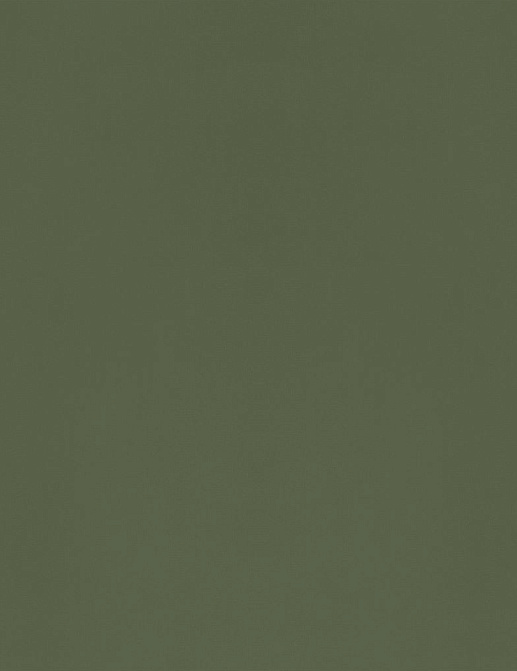 Ткань Designers Guild Bellagio FDG3277/10