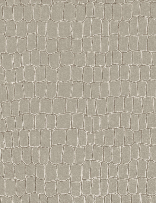 Ткань Zinc Lobby velvets Z515/01