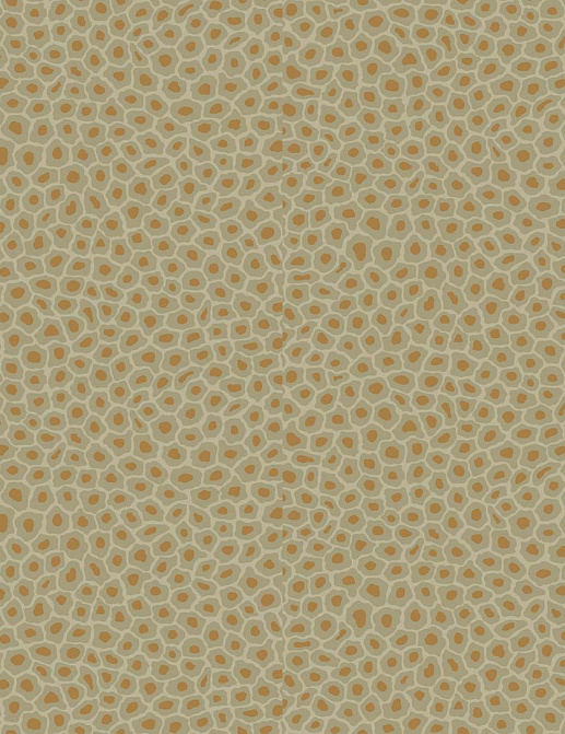 Обои Cole & Son The Ardmore Collection 109/6029