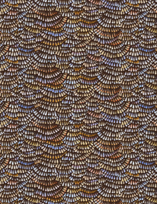 Обои Arte Memento Mooi MO4021