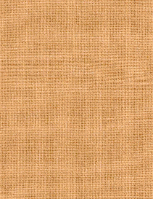 Обои Caselio Jute JTE104013000