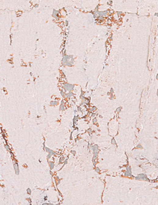 Обои Innovations Collection Gilden Cork GCO-101 WHITE SILVER