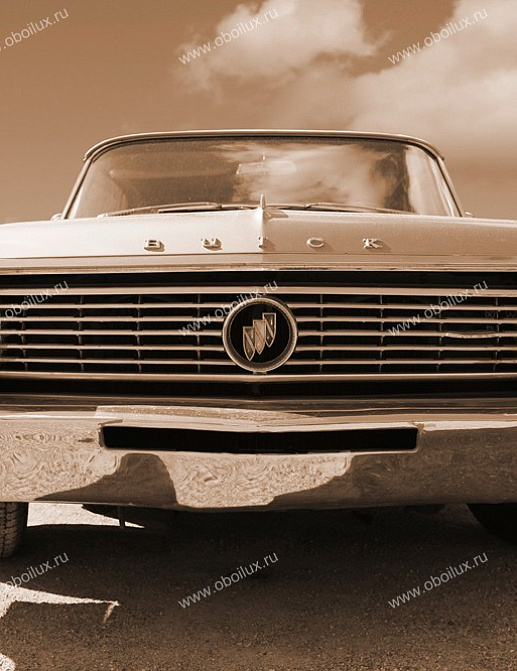Панно и фотообои A. S. Creation XXL II 349 Buick Sepia