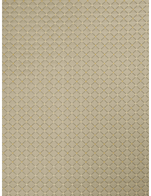 Ткань Trend Lemon Zest Cashew Prints & Wovens Vol.III 02104/LemonZest