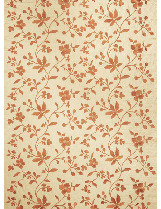 Ткань Stroheim Color Gallery Pumpkin Lakewood trail/Pumpkin