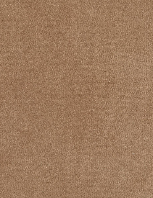 Ткань Loro Piana Doge Velvet AC3018/3