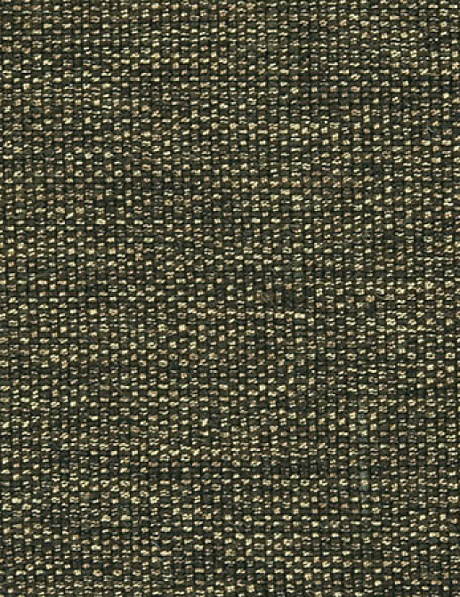 Ткань Designers Guild Rinzu F1599/13