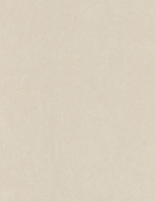 Обои Casadeco Cotton Touch COTO82381218