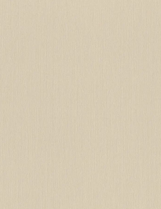 Обои Rasch Настенные структуры. Том 4 / Wall Textures XL Vol. 4 968576