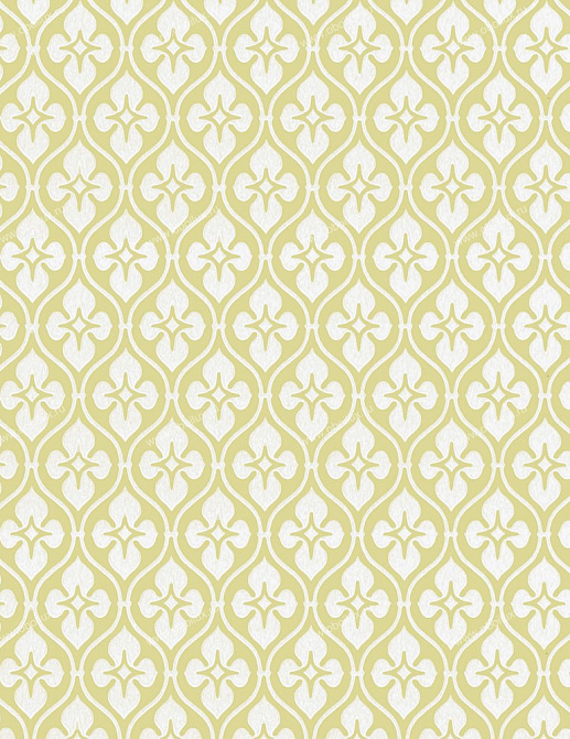 Обои Cole & Son Charlie Wilson 80/6029