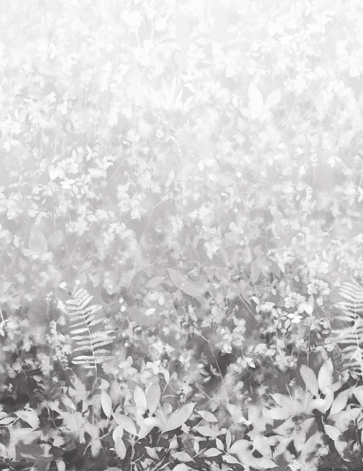 Обои Paint & Paper Library Botany 0360FOPERSE