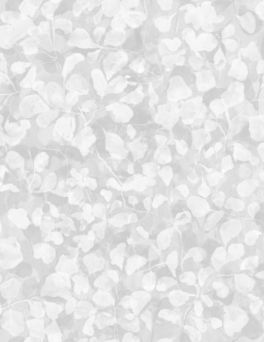 Обои Innovations Collection 2 PET-01