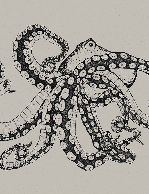 Панно и фотообои Coordonne Naturae 9500800V
