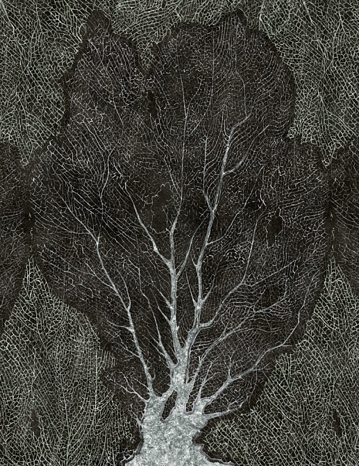 Обои Factura Collection 2021 FORESTA/8