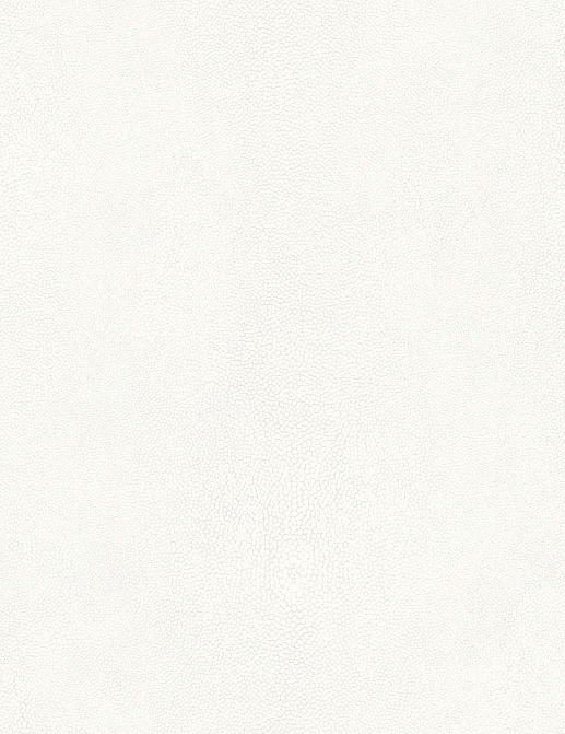 Обои Galerie Natural FX 2 G67470