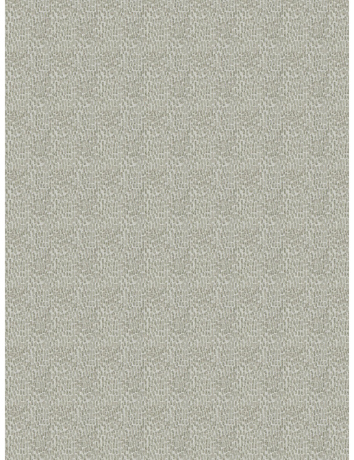 Ткань Fabricut Chromatics Vol.XXVI Ecru Dimeter/Ash