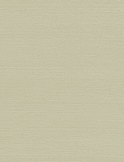 Обои York Ronald Redding Grasscloth & Natural Resource GV0143NW