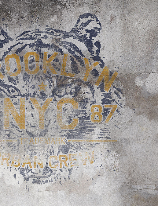 Панно и фотообои Tecnografica Collection 2017 Eye Of The Tiger