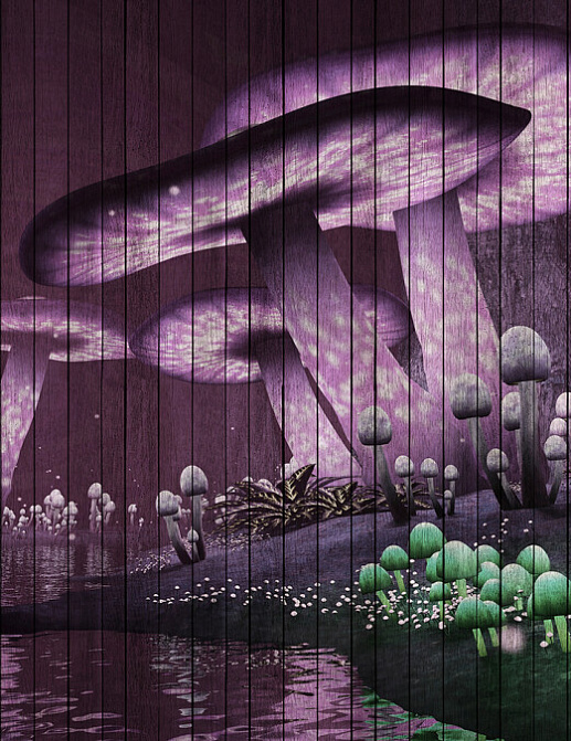 Панно и фотообои A. S. Creation Living Walls - Walls by Patel 2 DD113955