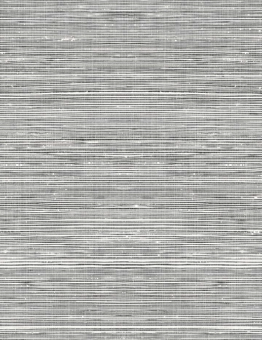 Обои Paper & Ink Shades & White WS71517