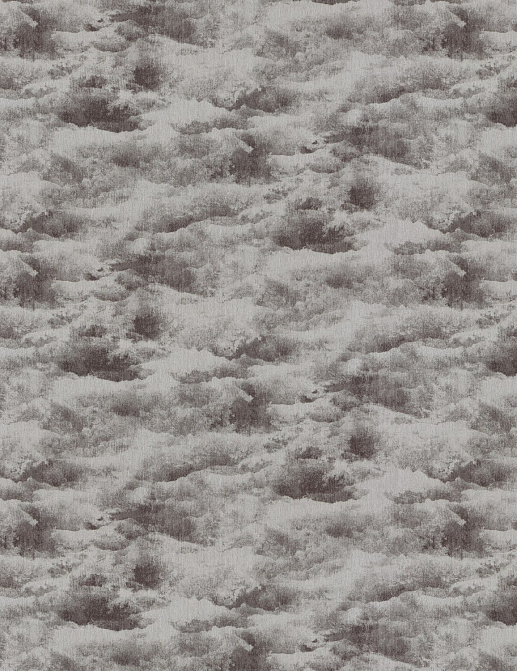Ткань Chivasso Carlucci di Chivasso Cloudscape CA1582/092