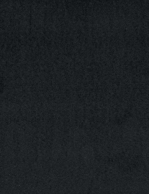 Обои Elitis Rayures Jumelles RM104580