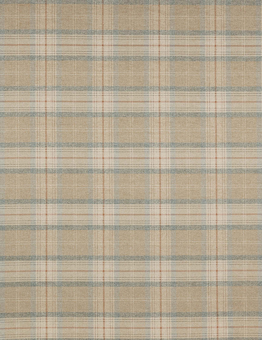 Ткань Colefax and Fowler Magnus Checks F4720/04