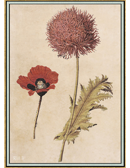 Панно и фотообои Iksel Scenic & Architectural Wallpapers Renaissance Herbier RH3