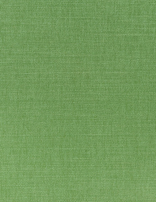 Ткань Thibaut Woven Resource 12 Prisma W70140