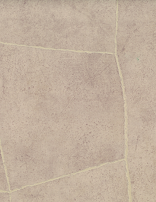 Обои Jannelli & Volpi JV 104 Lithos 7631