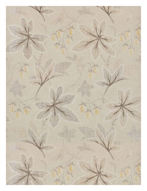 Обои Colefax and Fowler Lindon 07173/02