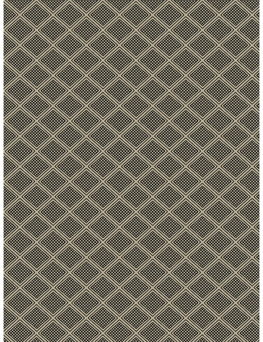 Ткань Fabricut Chromatics Vol.XXVI Quarry GorvyDiamond/Domino