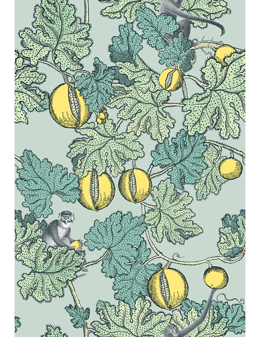 Обои Cole & Son Fornasetti III 114/1002