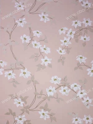 Обои Nina Campbell Montacute NCW4065-03