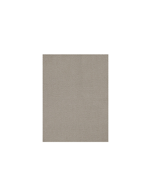 Ткань Bisson Bruneel Prairie/Aven - Tome 1 Prairie-009
