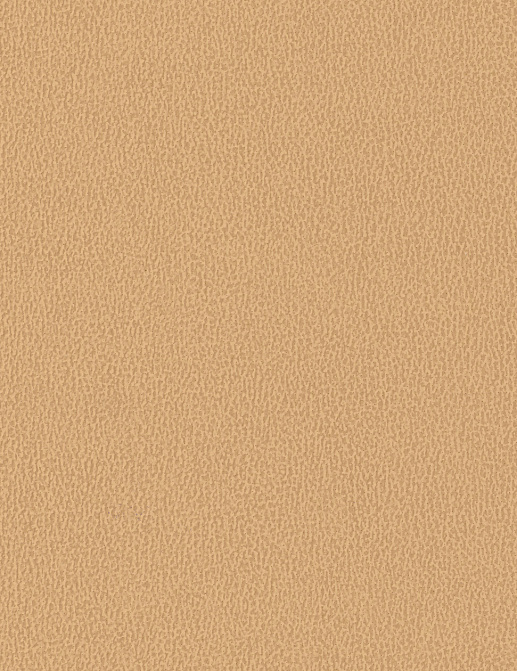 Обои Texdecor Acoustic Vinyl Wallcoverings 2 DUNE90230298