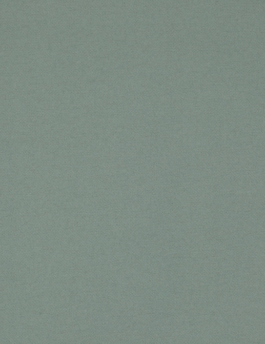 Ткань Manuel Canovas Rimini M4059-15